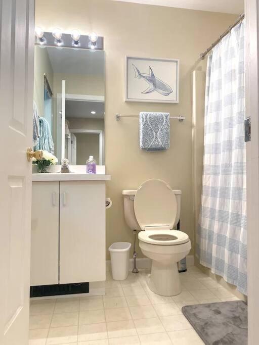 Spacious 3Br 3Ba Sleeps 8 Ski On Off Jiminy Mountain Resort 핸콕 외부 사진