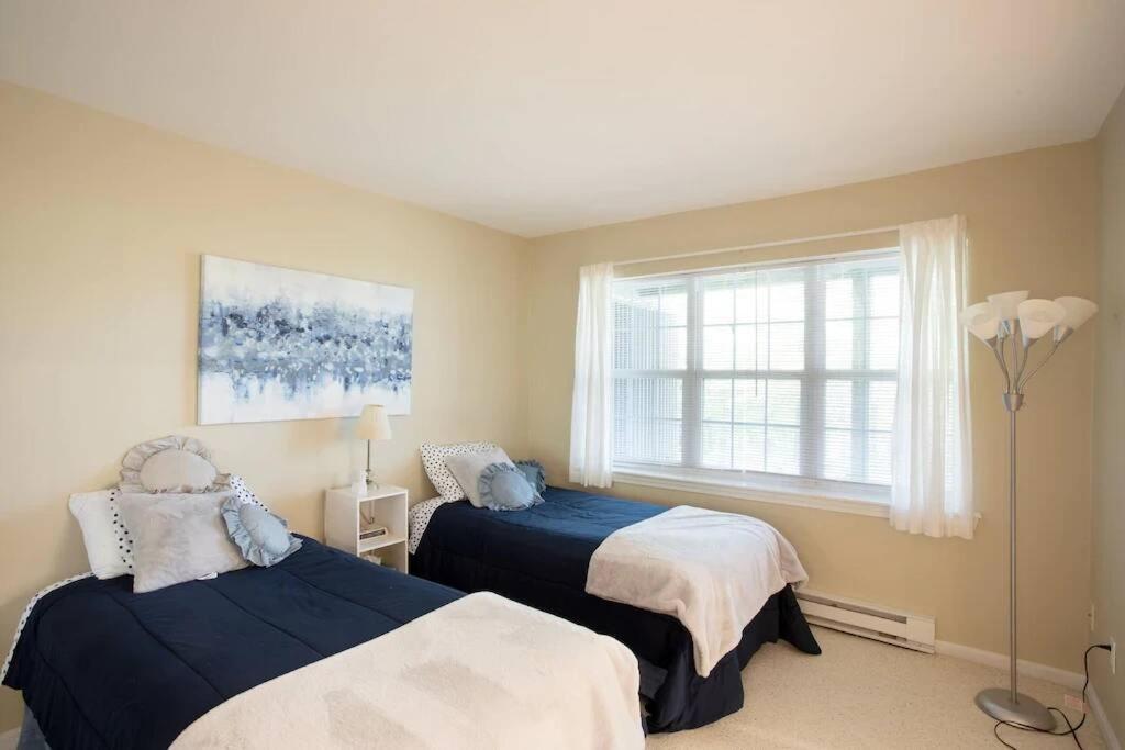 Spacious 3Br 3Ba Sleeps 8 Ski On Off Jiminy Mountain Resort 핸콕 외부 사진